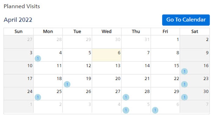 Calendar with planned visits section (download .jpg)