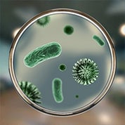 Alergija na mikroorganizme