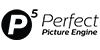 Perfect Picture Engine mali logotip